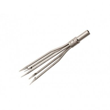 SPEARTIP- PANICLE 5, MEDIUM