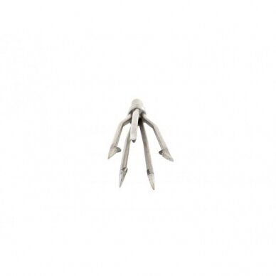 SPEARTIP- PANICLE 5, MEDIUM 1