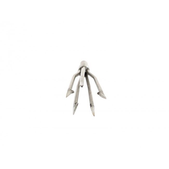 SPEARTIP- PANICLE 5, MEDIUM 1