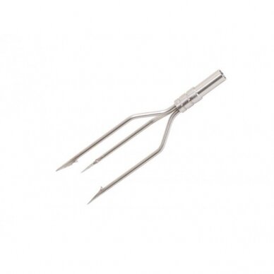 Scorpena EQUILATERAL TRIDENT, BIG