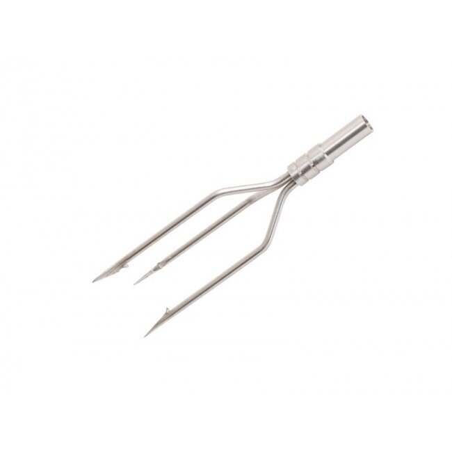 Scorpena EQUILATERAL TRIDENT, BIG